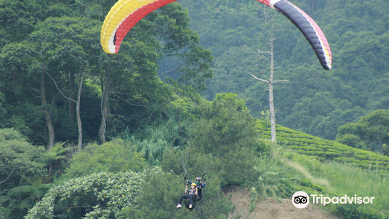 DongyangTours