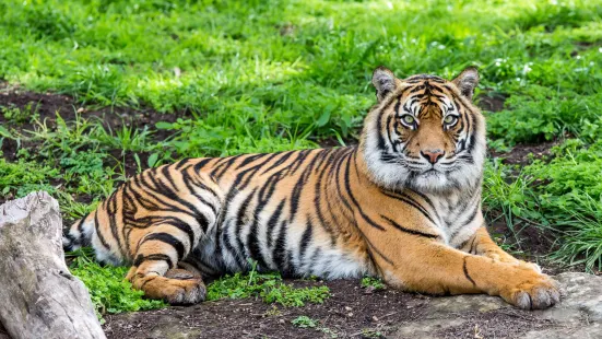 Taronga Western Plains Zoo