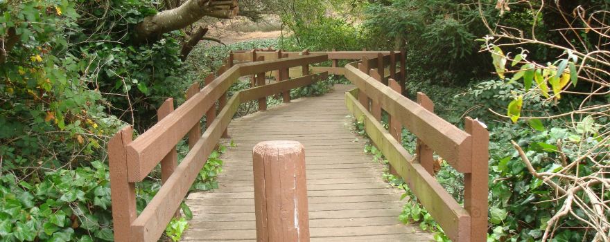 John McLaren Park