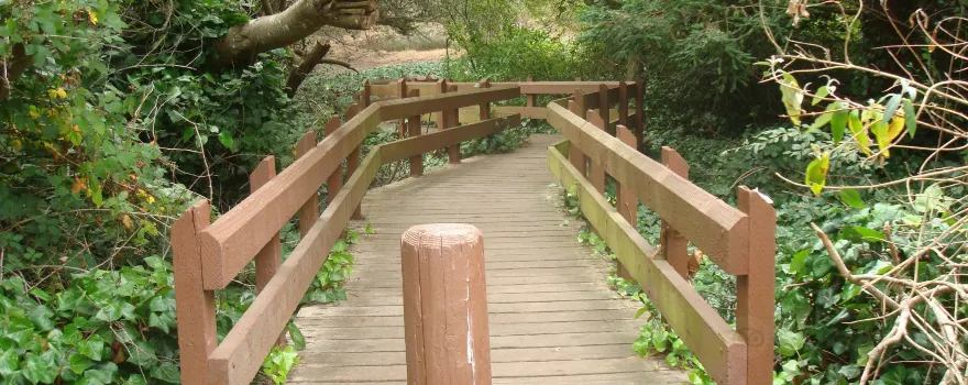 John McLaren Park