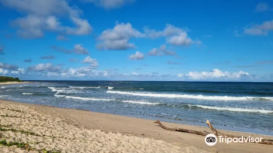 Ponta de Itapororoca