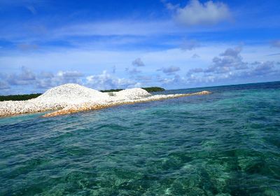 Anegada