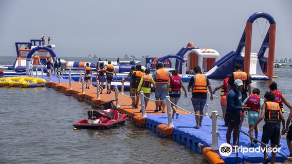 Paracas