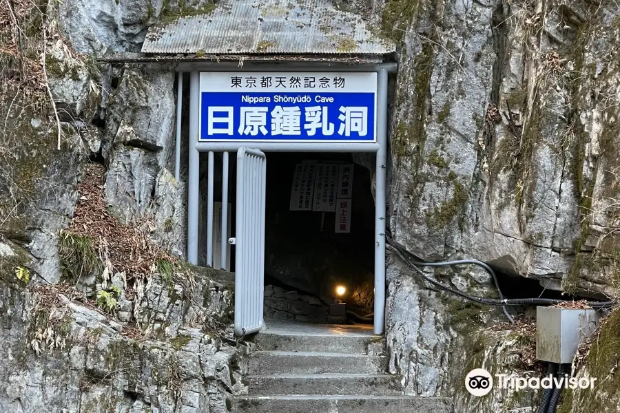 Nippara limestone caves