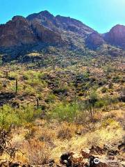 Tucson Mountain Park West
