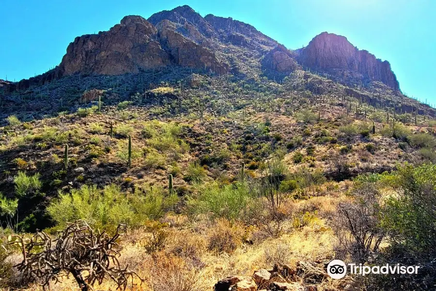 Tucson Mountain Park West