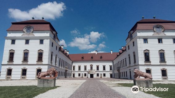 Esterhazy Castle