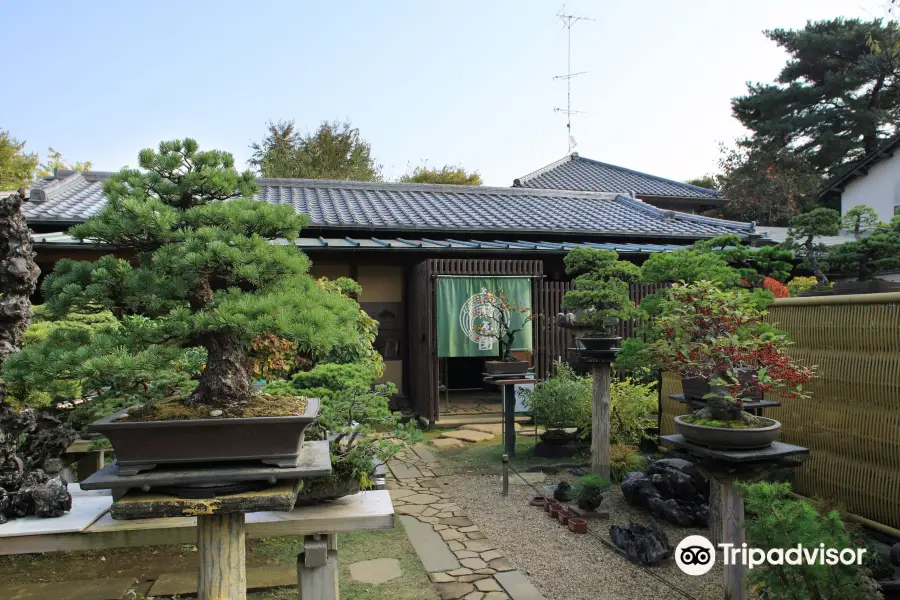 Ōmiya Bonsai-Dorf