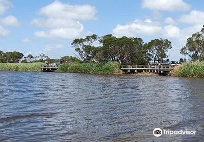 Tarwin Lower Boardwalk