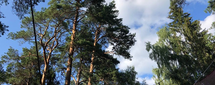 Tīklu parks