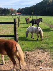 Manege Arnhem