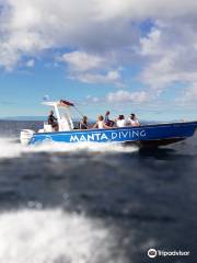 Manta Diving