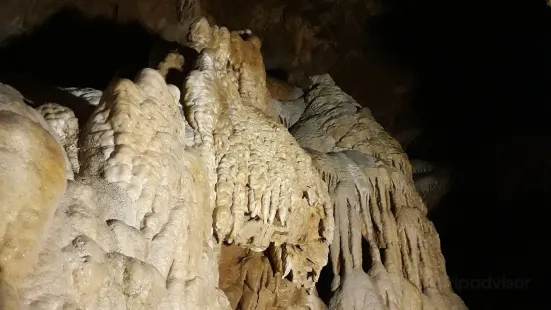 Jaskyna Mrtvych Netopierov