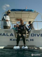 Kohala Divers Ltd
