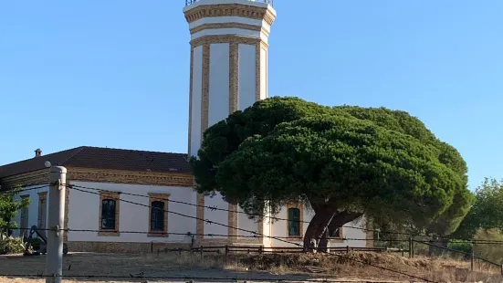 Faro Del Picacho Mazagon