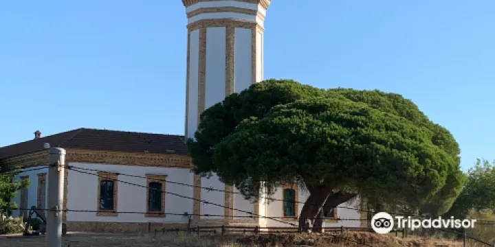 Faro Del Picacho Mazagon