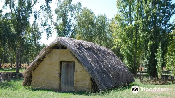 Poblado Neolitico de la Draga