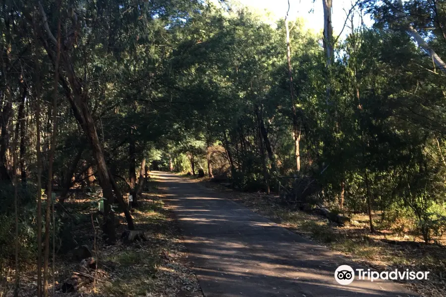 Burke Road Billabong Reserve