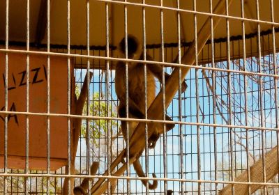 ヒルクレスト・パーク動物園