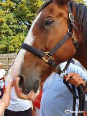 Brantome Police Horses and Friends