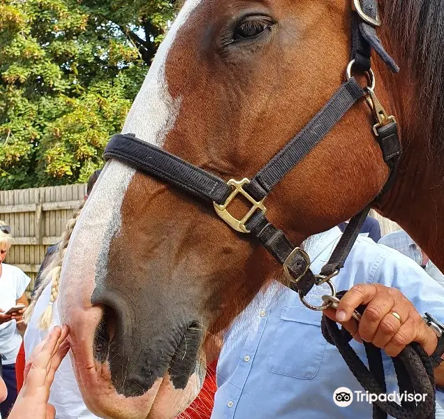 Brantome Police Horses and Friends