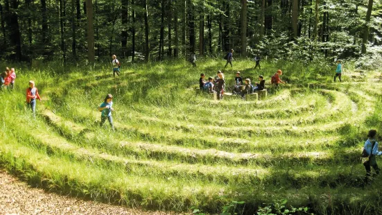 Walderlebnis- und Waldsportpfad Rollberg