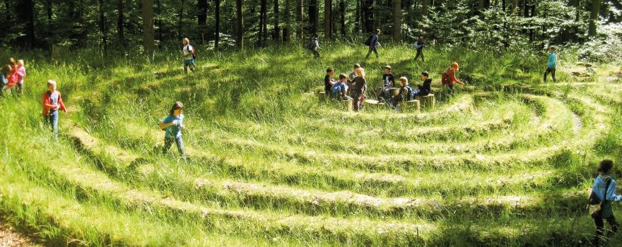 Walderlebnis- und Waldsportpfad Rollberg