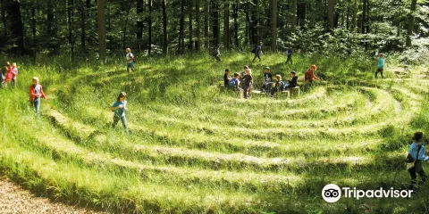 Walderlebnis- und Waldsportpfad Rollberg