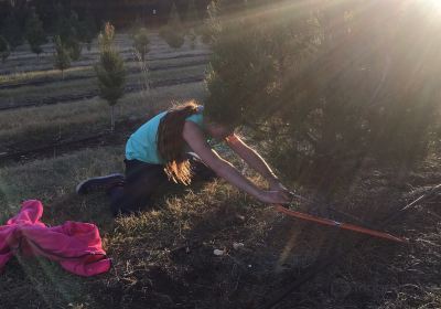 Pipe Creek Tree Farm & Pumpkin Patch