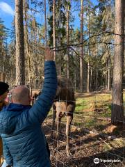 Värmlands Moose Park