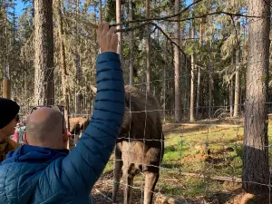 Varmlands Moose Park