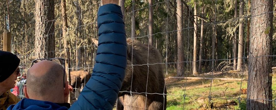 Varmlands Moose Park