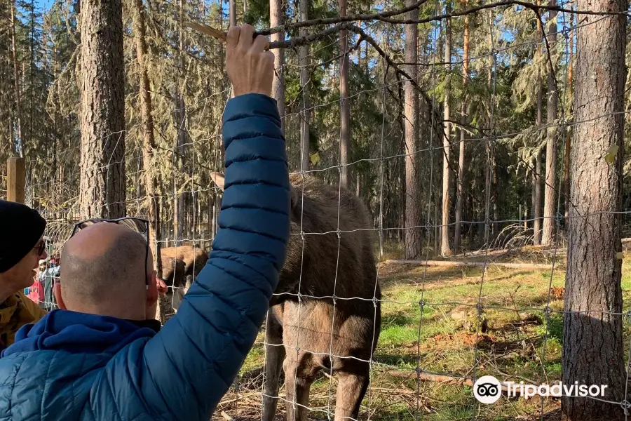 Varmlands Moose Park