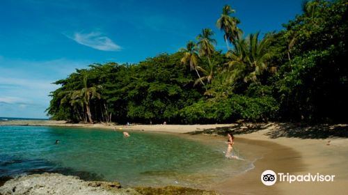 La Feria Legendaria de Playa Chiquita