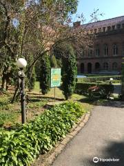 Giardino Botanico dell'Università nazionale di Černivci