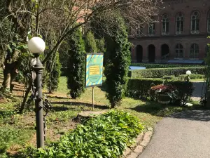 Chernivtsi University Botanical Garden