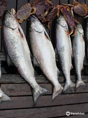 Tonquin Fishing Charters