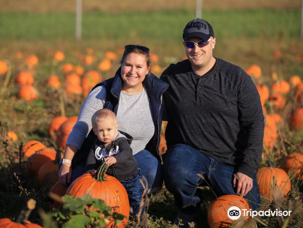 Wickham Farms