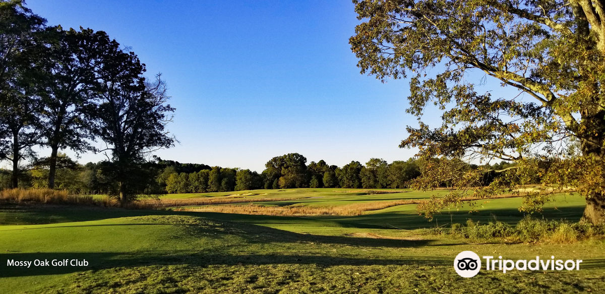 Mossy Oak Golf Club
