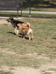 Raising Cane's Dog Park