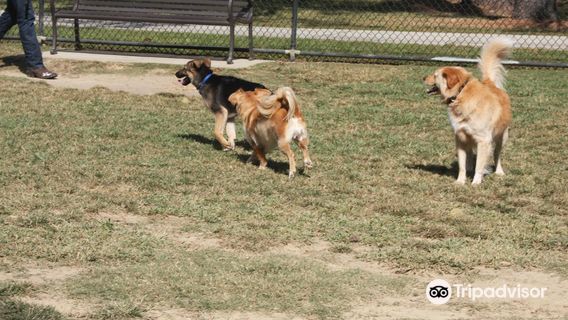 Raising Cane's Dog Park