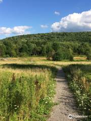 Roy H Park Preserve - North (Short) Trail