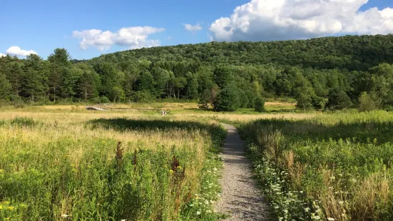 Roy H Park Preserve - North (Short) Trail