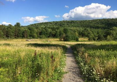 Roy H Park Preserve - North (Short) Trail