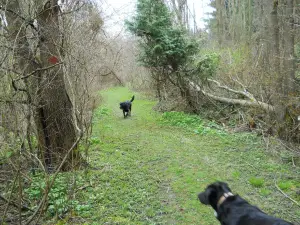 Two Creeks Conservation Area