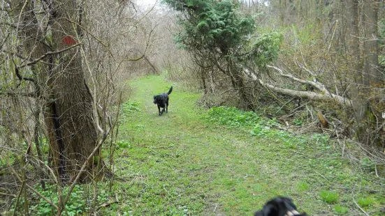 Two Creeks Conservation Area