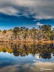 Lake Lowndes State Park