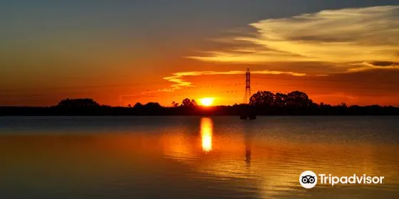 Lago Dourado