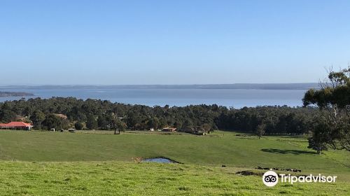 The Shuntoff Lookout