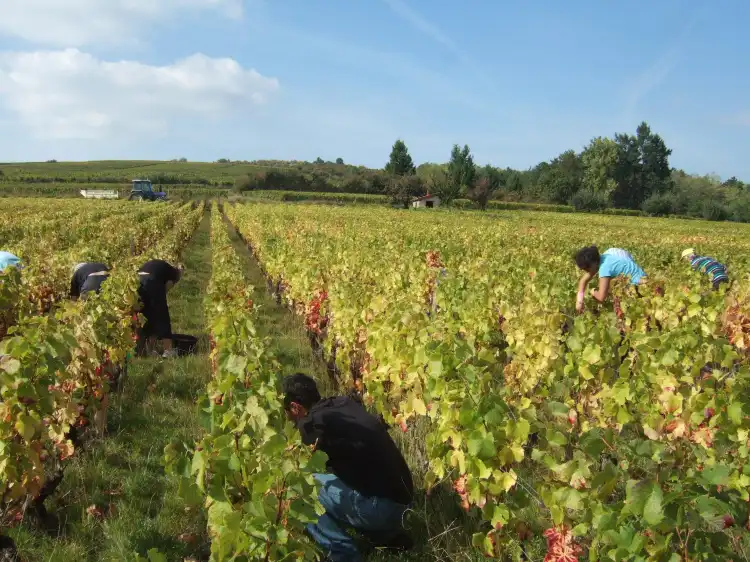 Hotels in Cheilly-les-Maranges